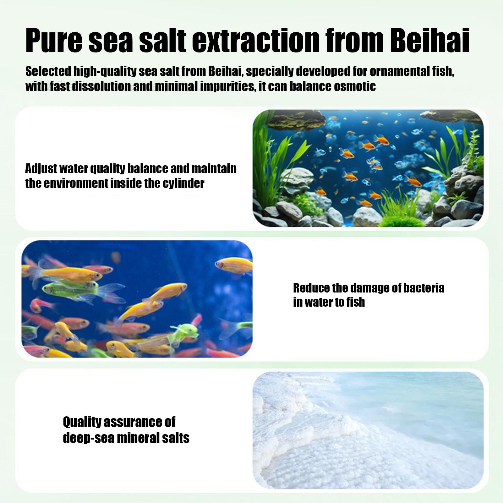 Fish Can Algae Remover Aquariu - Betta Fish Tank review and price