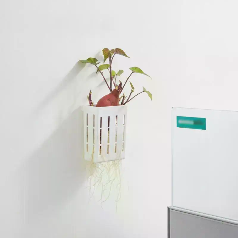 1Pcs Hydroponic Support Basket - Aquarium Plants review and price