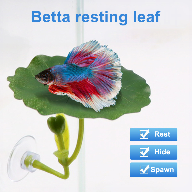 1PC Betta Fish Leaf Hammock Gr - Betta Fish Tank review and price