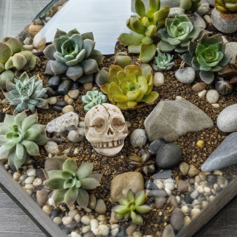 20Pcs Resin Smiling Skull Deco - Aquarium Decor review and price