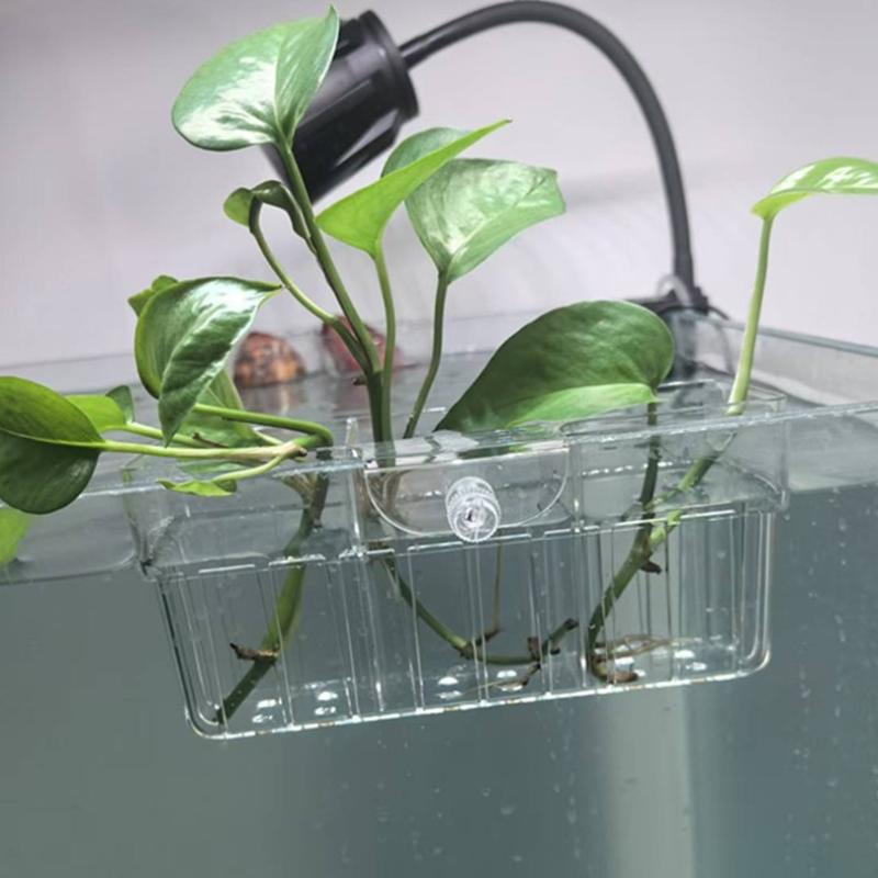 Hydroponic Plant Basket Food G - Aquarium Plants review and price