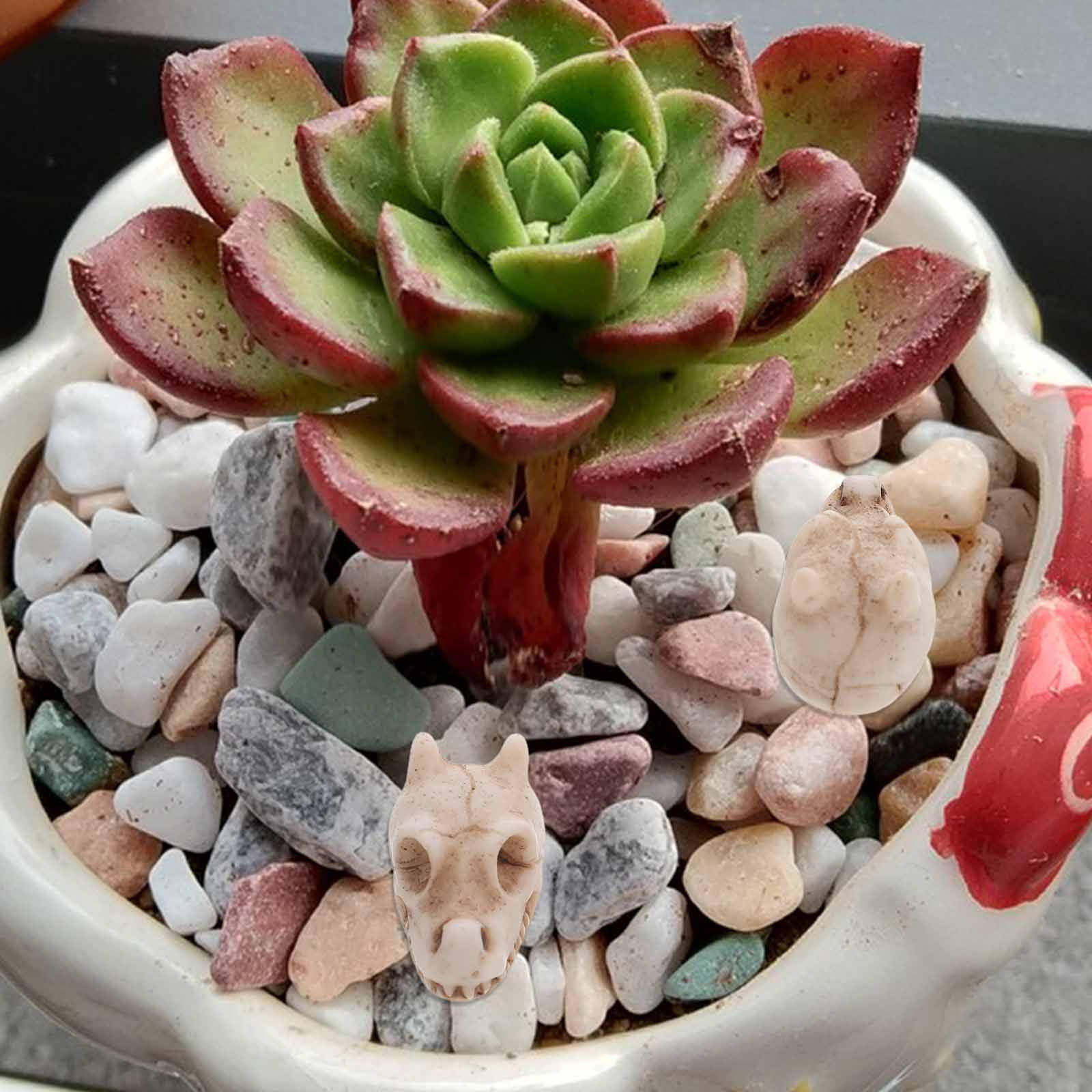 20pcs Mini Dragon Skull Resin  - Aquarium Decor review and price