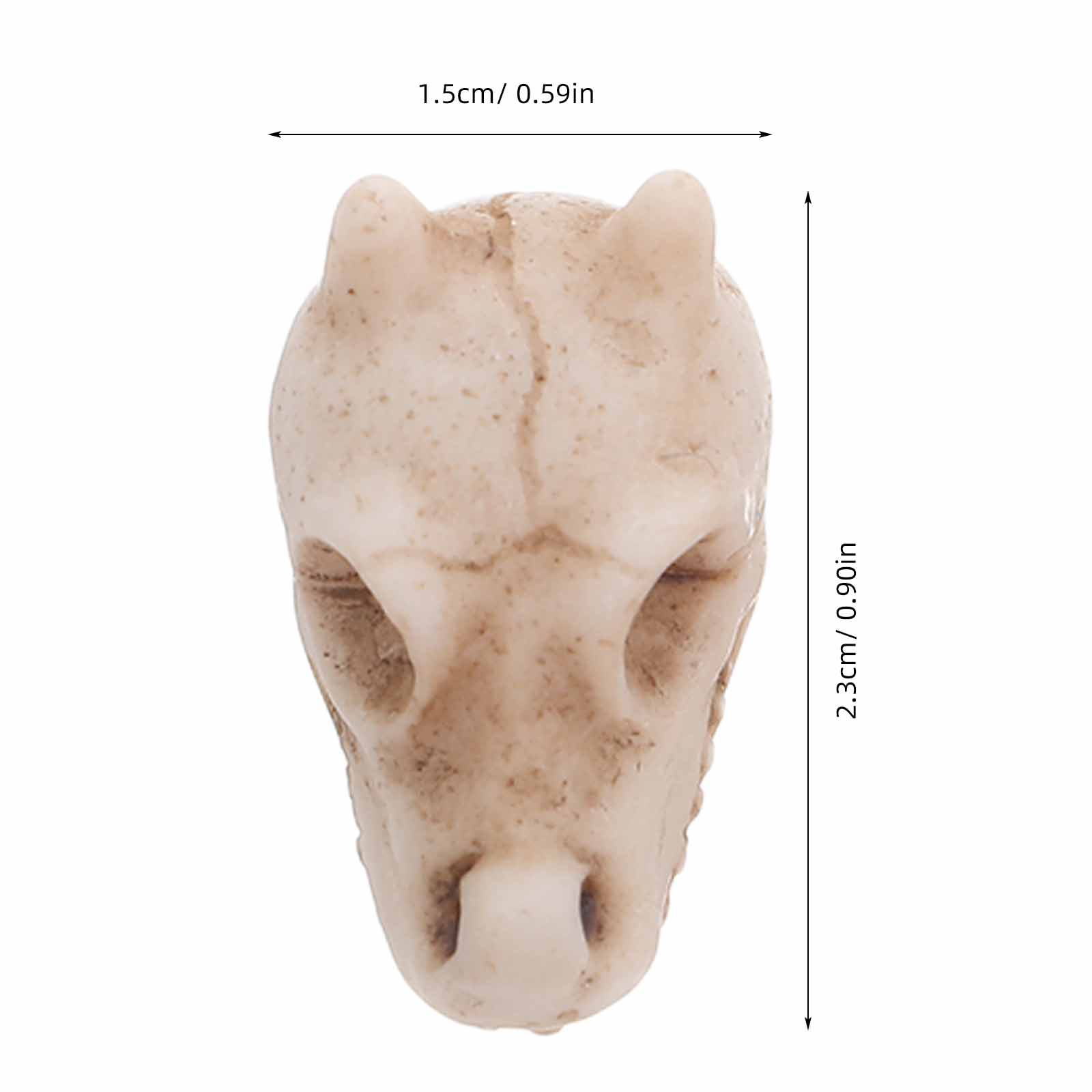 20pcs Mini Dragon Skull Resin  - Aquarium Decor review and price