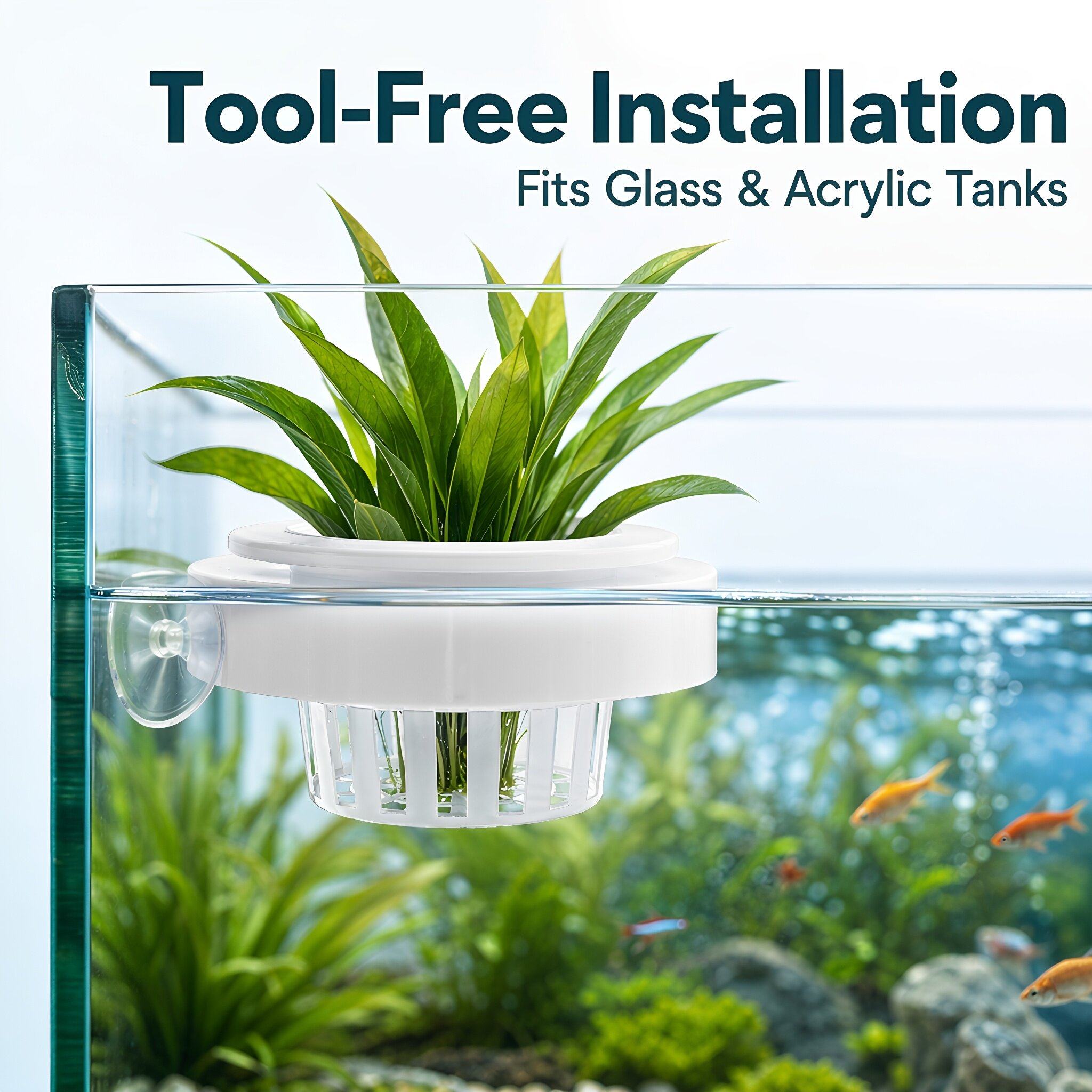4pcs Floating Aquarium Plant B - Aquarium Plants review and price