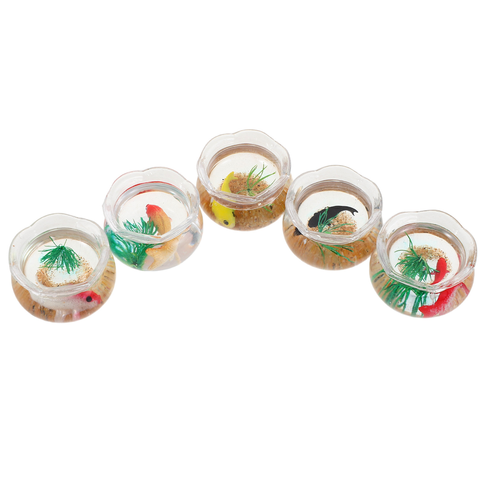 5pcs Mini Koi Fish Tank Set –  - Aquarium Plants review and price