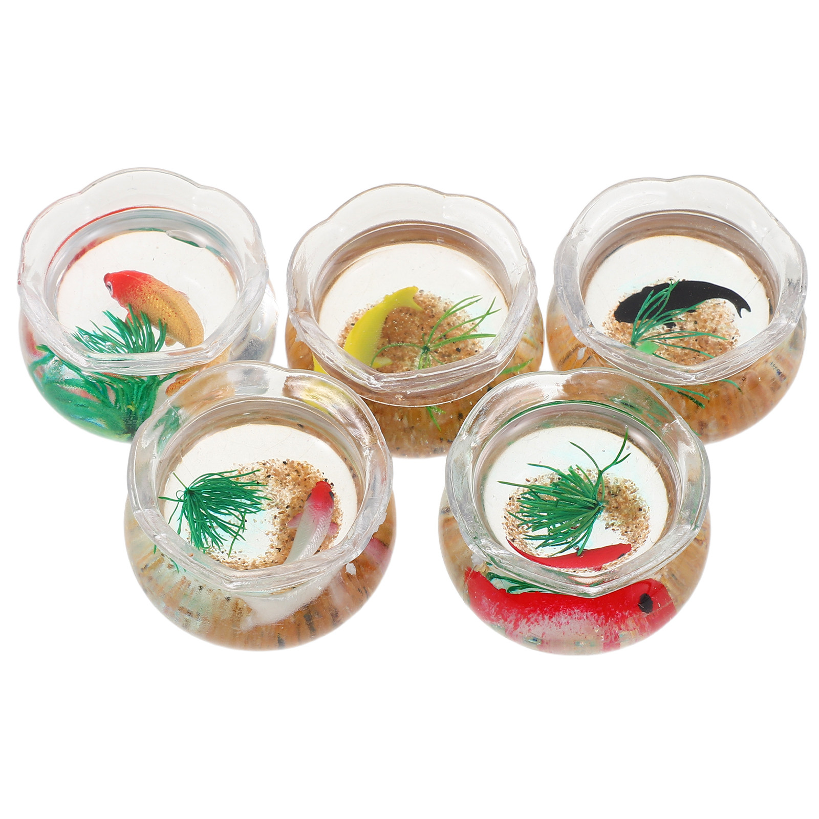 5pcs Mini Koi Fish Tank Set –  - Aquarium Plants review and price