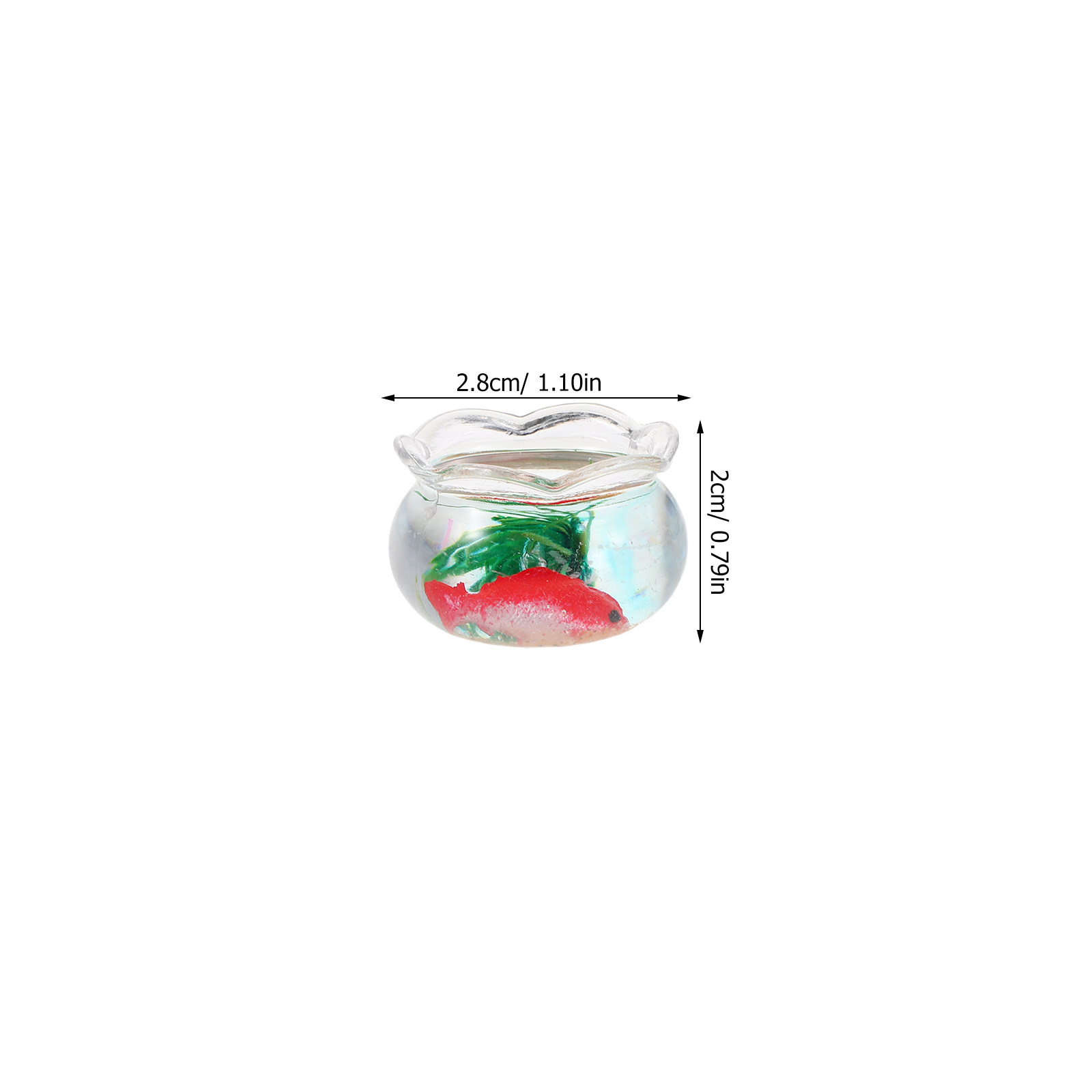 5pcs Mini Koi Fish Tank Set –  - Aquarium Plants review and price