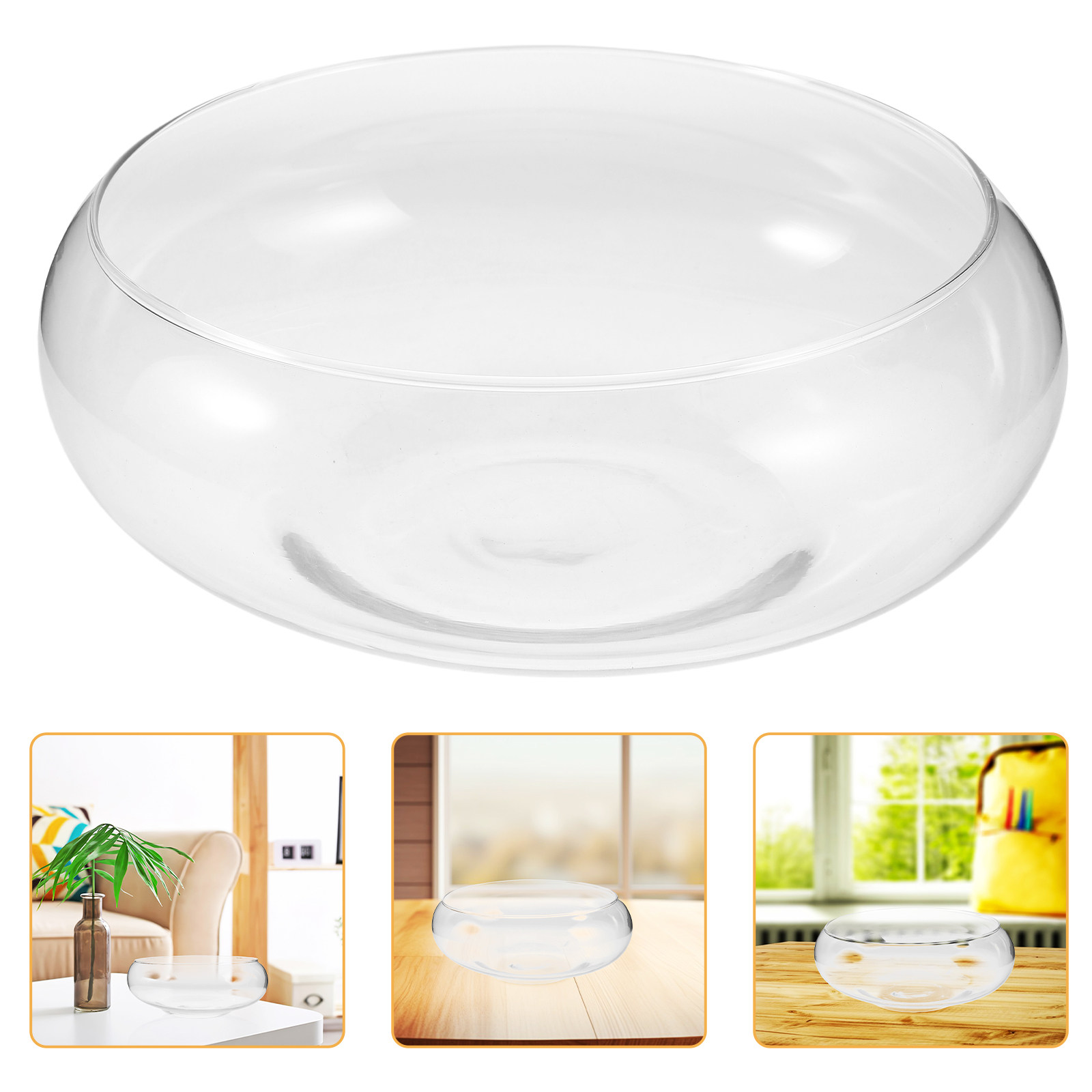 Glass Hydroponic Planter Bowl  - Aquarium Plants review and price