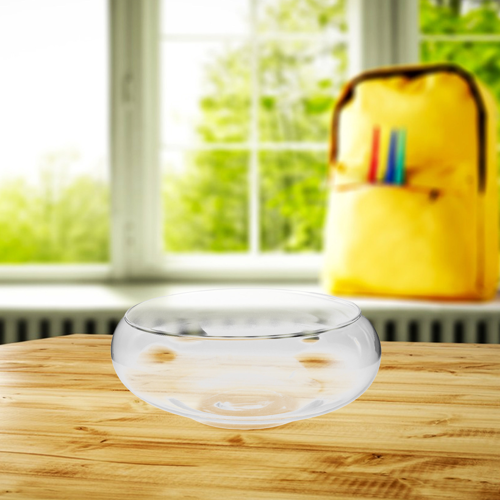 Glass Hydroponic Planter Bowl  - Aquarium Plants review and price